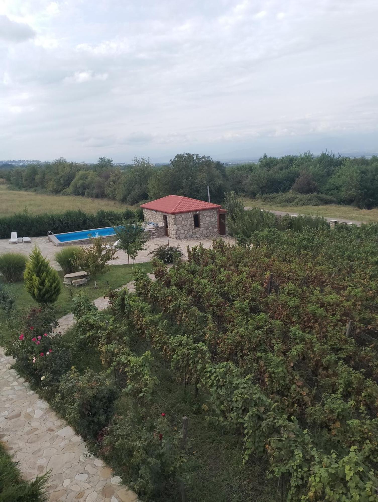 Chateau Tetri Bairagebi White Flags Kisiskhevi Exterior foto