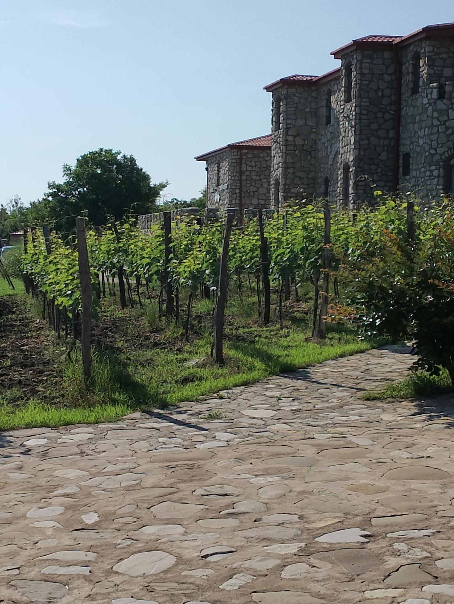 Chateau Tetri Bairagebi White Flags Kisiskhevi Exterior foto